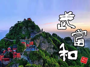 武当药材的产地与特色。